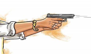 भाई ने बहन को मारी गोली, मौत