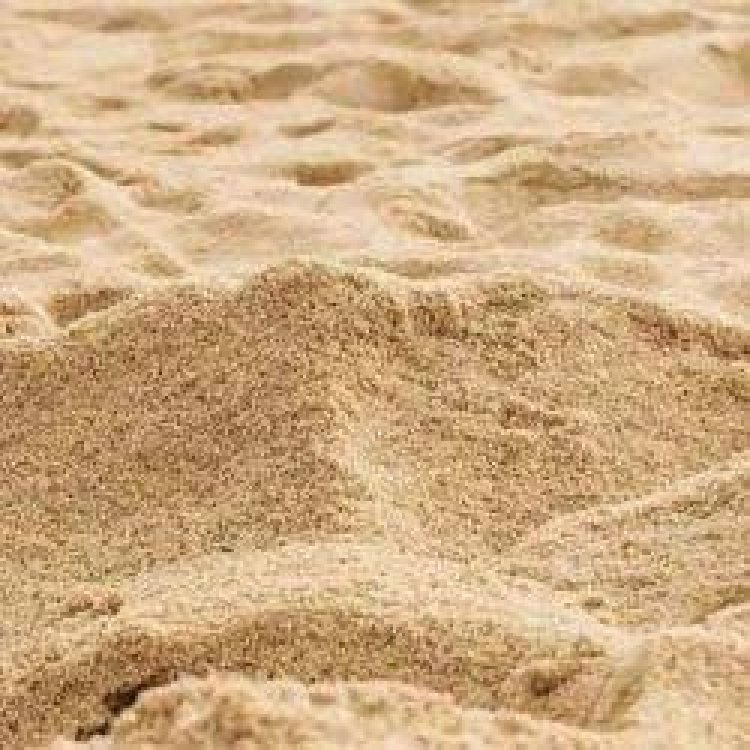 नहीं थमा रहा बालू का अवैध कारोबार, अब महिलाओं ने खोला मोर्चा